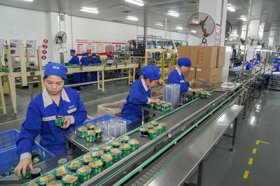 構(gòu)建高效門(mén)戶(hù)，賦能企業(yè)發(fā)展——中恒集團(tuán)門(mén)戶(hù)網(wǎng)站建設(shè)方案